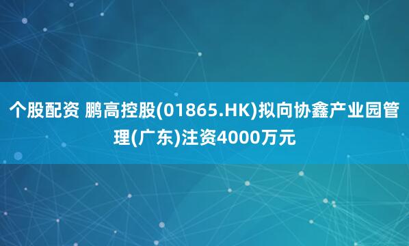个股配资 鹏高控股(01865.HK)拟向协鑫产业园管理(广东)注资4000万元