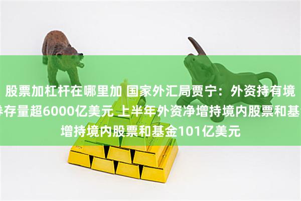股票加杠杆在哪里加 国家外汇局贾宁：外资持有境内人民币债券存量超6000亿美元 上半年外资净增持境内股票和基金101亿美元