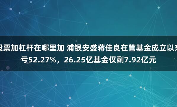 股票加杠杆在哪里加 浦银安盛蒋佳良在管基金成立以来亏52.27%，26.25亿基金仅剩7.92亿元