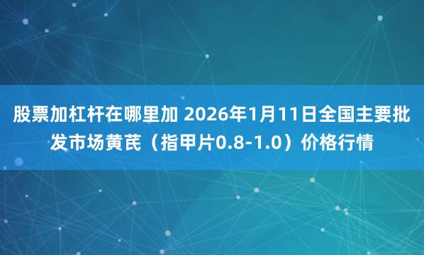 股票加杠杆在哪里加 2026年1月11日全国主要批发市场黄芪（指甲片0.8-1.0）价格行情